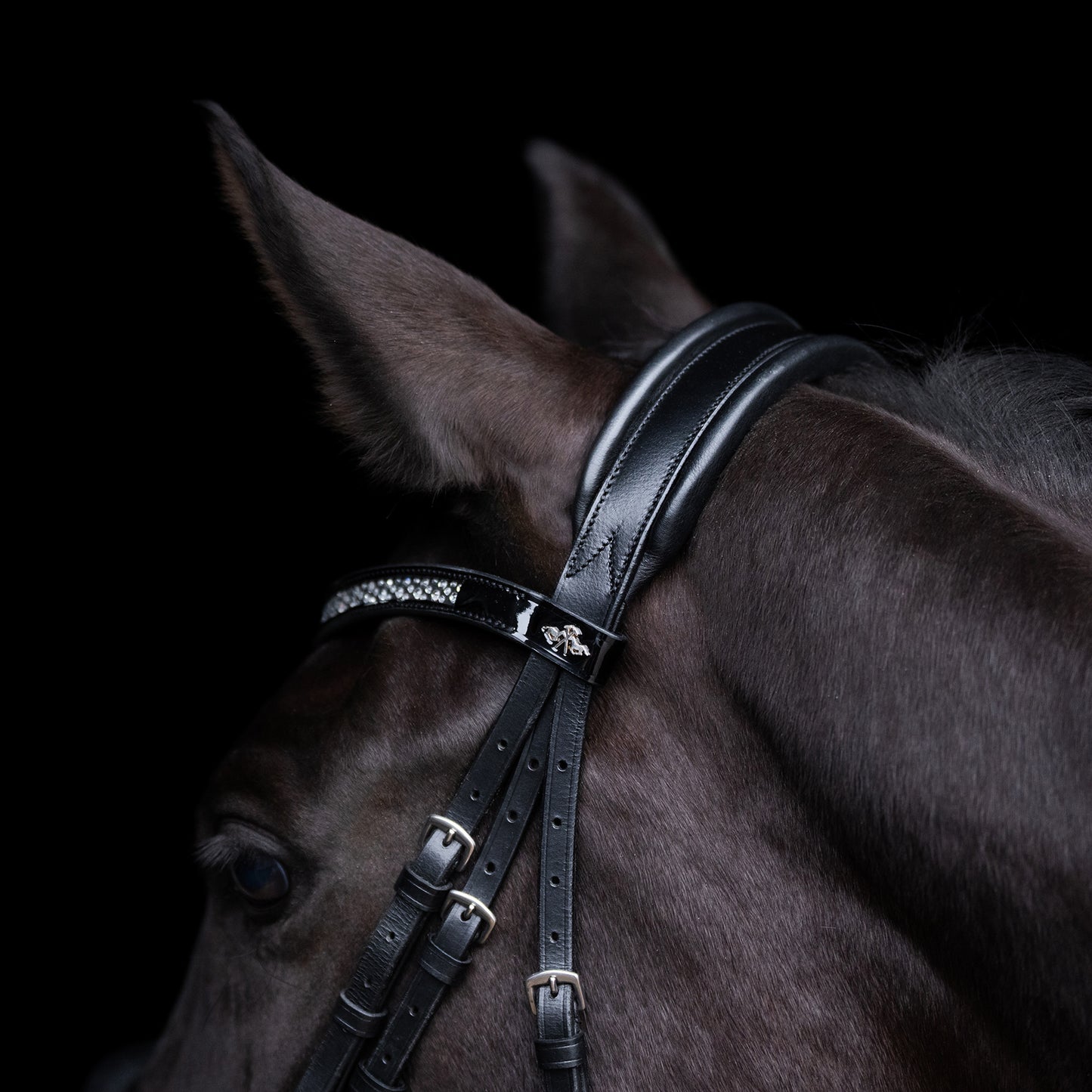 Bridle Diana, pannband med strass