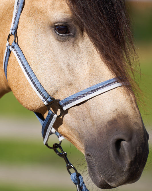 Headcollar Economic, prisvärd nylongrimma