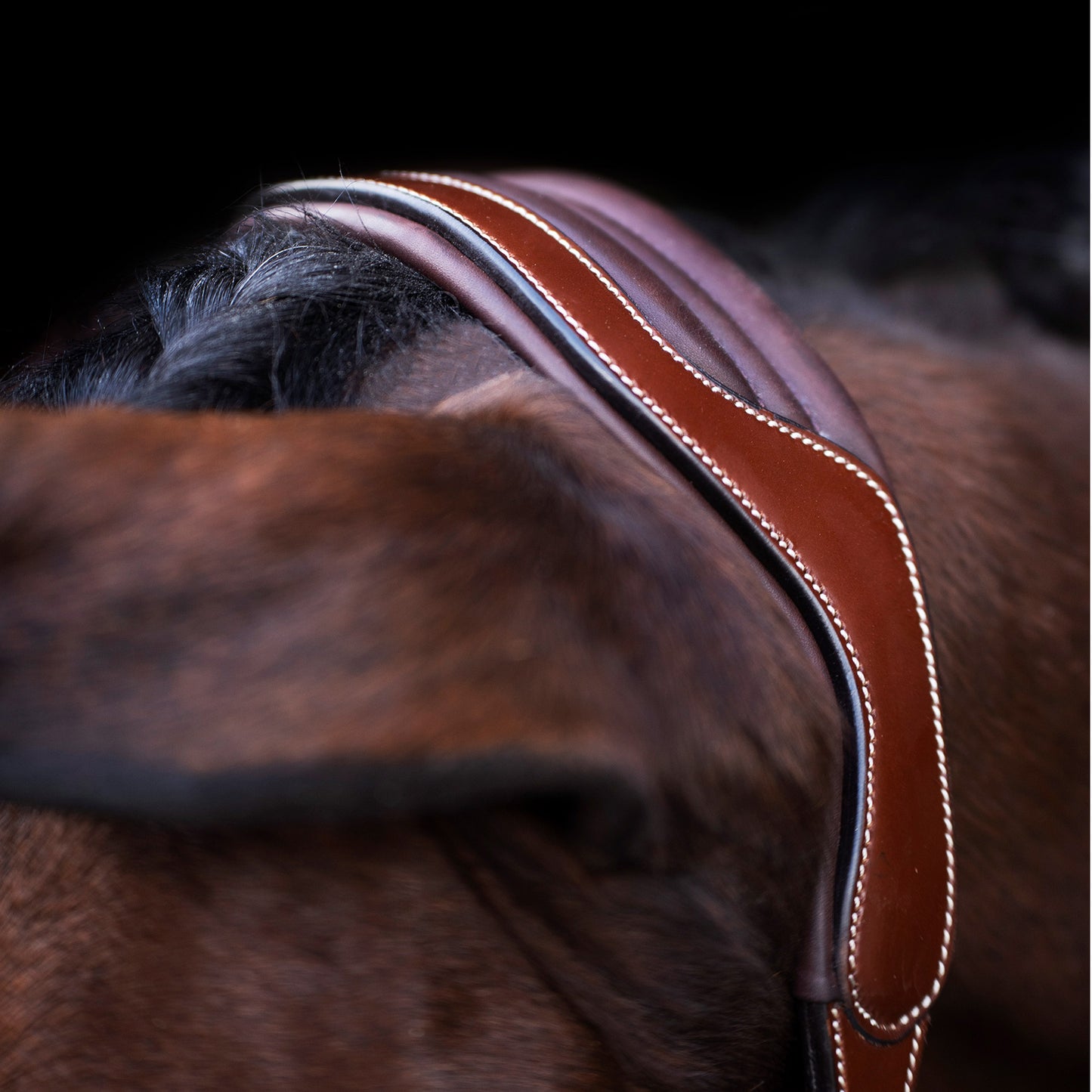 Headcollar Legacy, snygg lädergrimma med möjlighet att gravera, flera färger