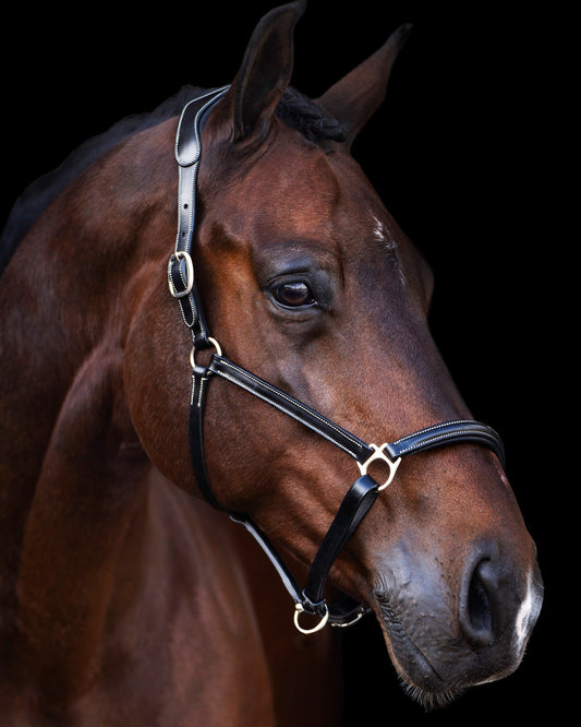 Headcollar Legacy, lädergrimma möjlighet att gravera