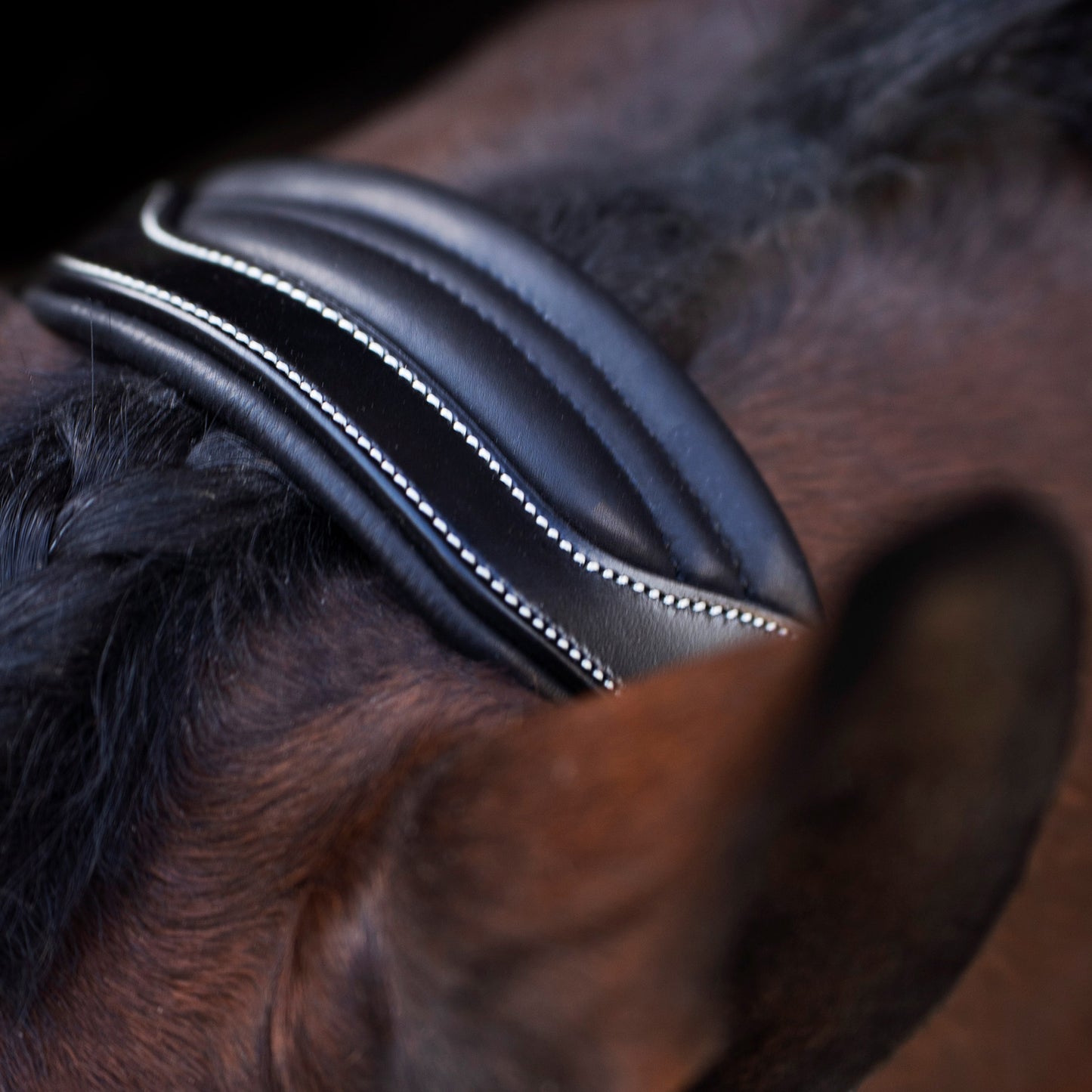 Headcollar Legacy, snygg lädergrimma med möjlighet att gravera, flera färger
