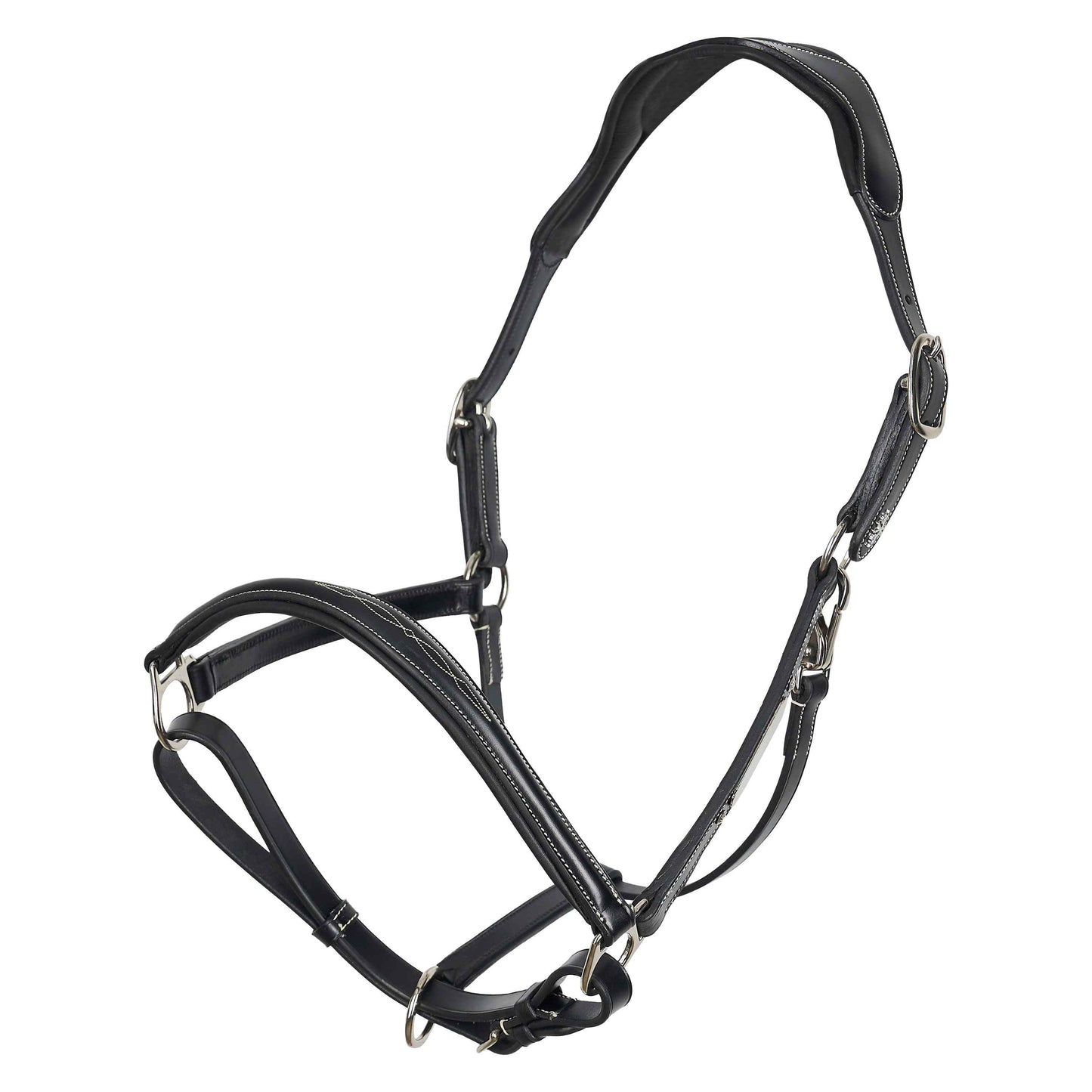 Headcollar Legacy, snygg lädergrimma med möjlighet att gravera, flera färger