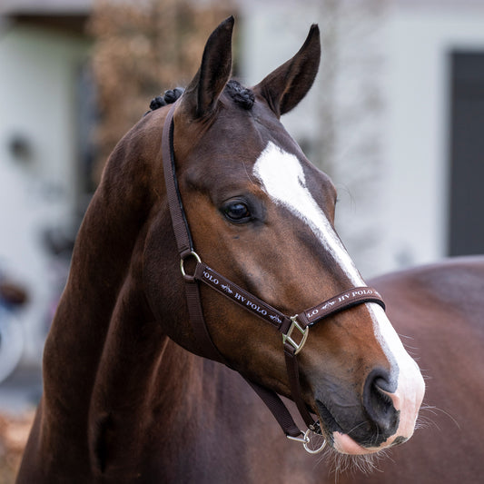 Headcollar Nena, klassisk grimma, flera färger