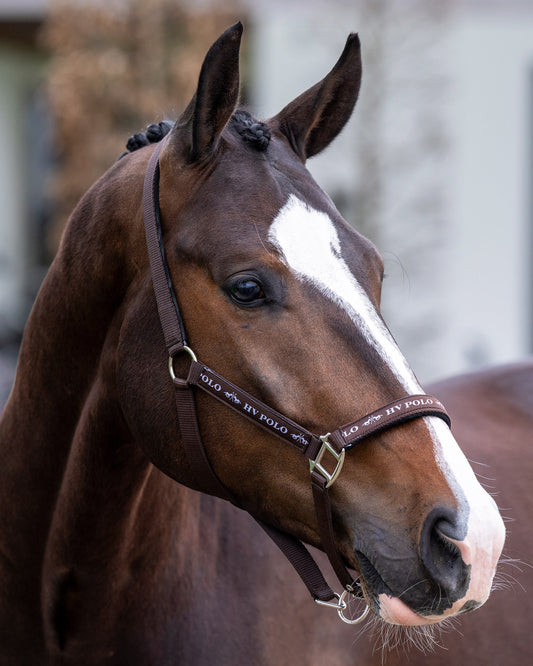 Headcollar Nena, klassisk grimma