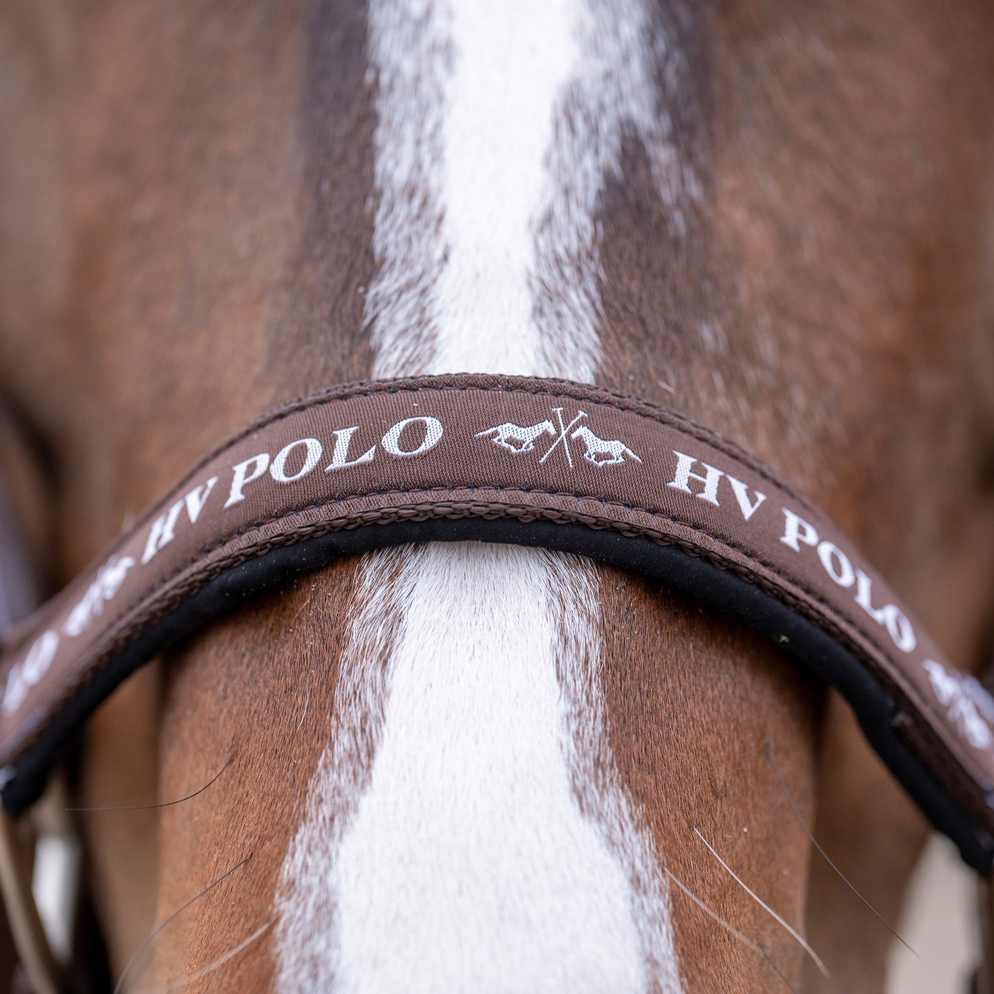 Headcollar Nena, klassisk grimma, flera färger