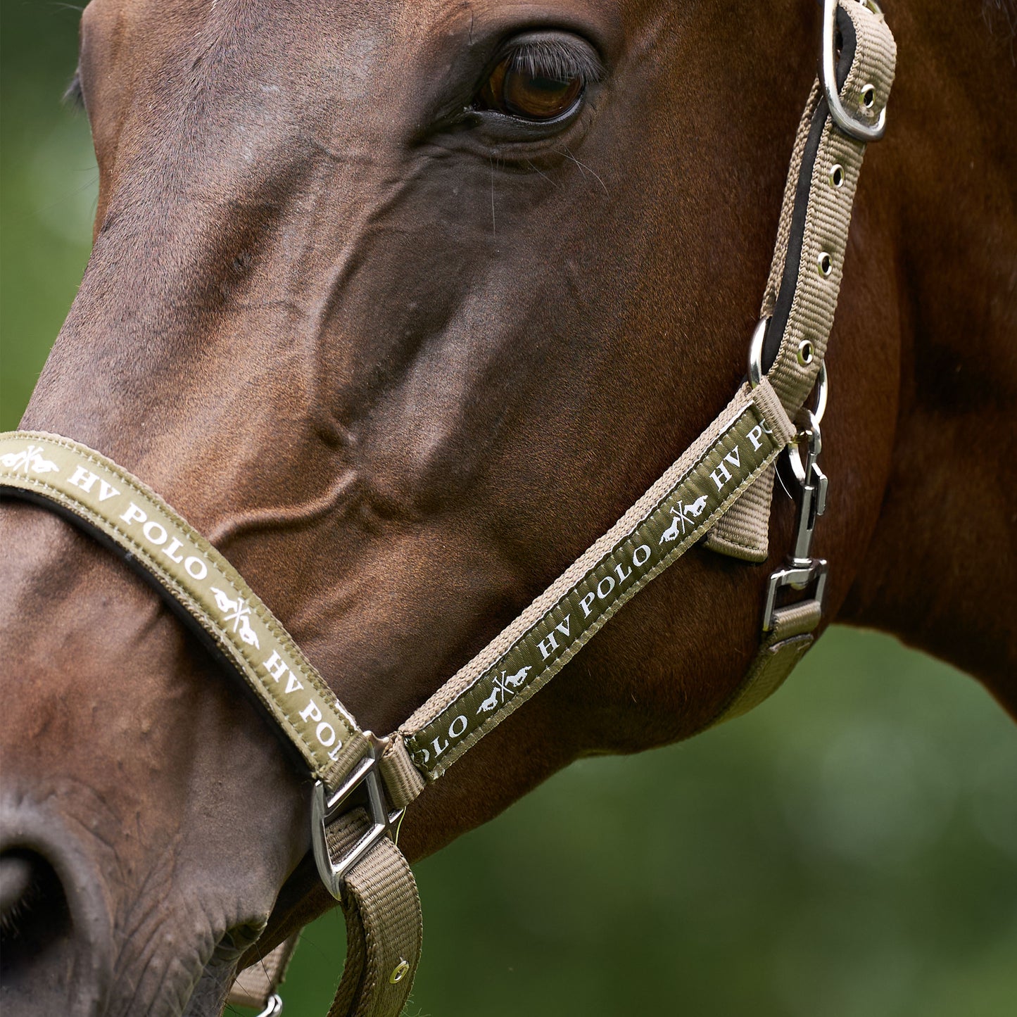 Headcollar Nena, klassisk grimma, flera färger