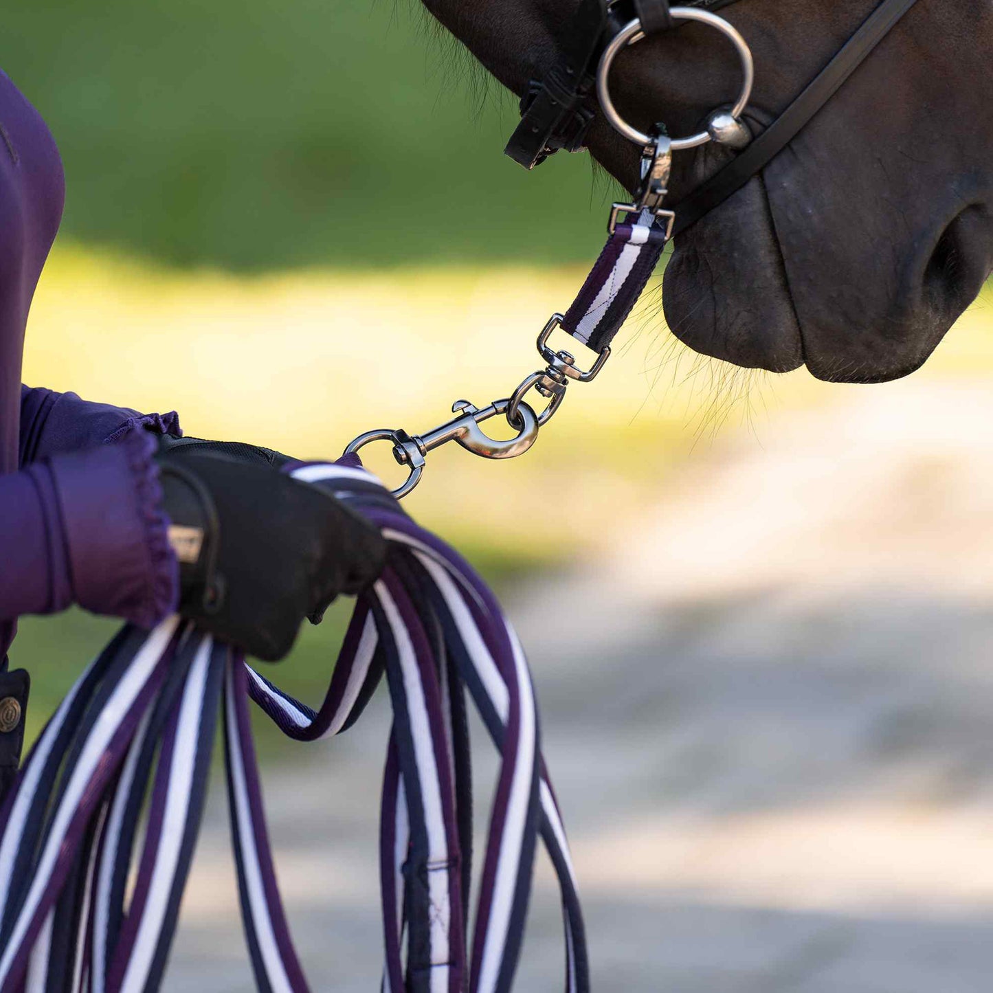 Lunging Riding Bit Strap Nylon, longerdelta i mängder med färger