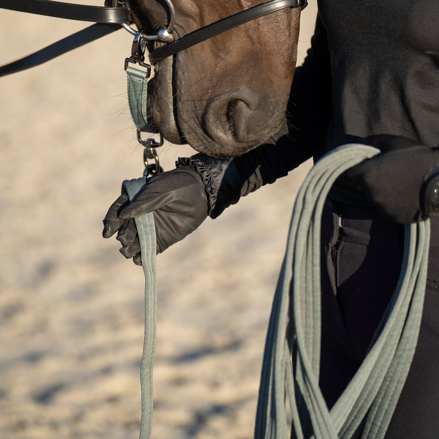 Lunging Riding Bit Strap Nylon, longerdelta i mängder med färger