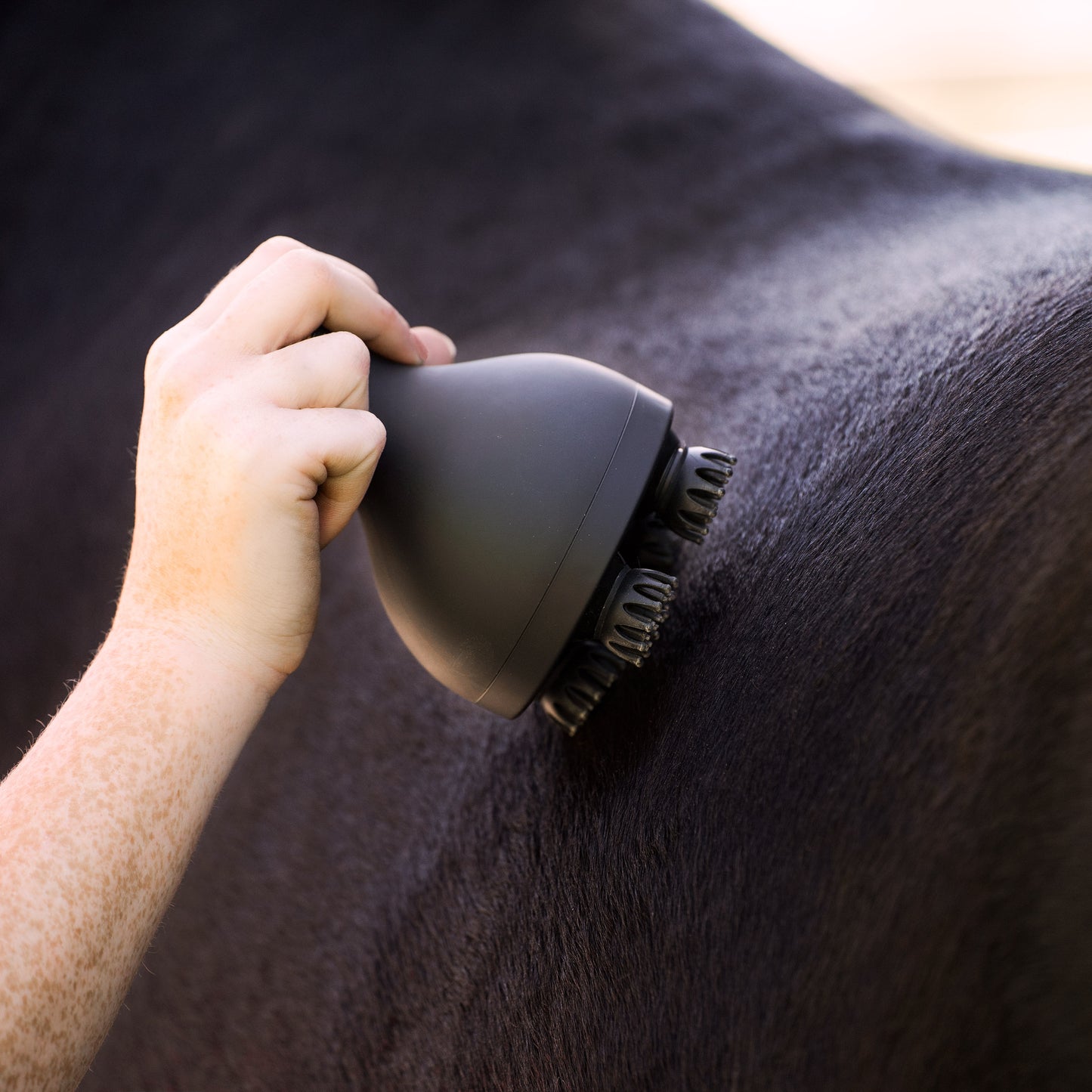 Volta Grooming & Relaxation Brush, batteridriven massageborste för häst