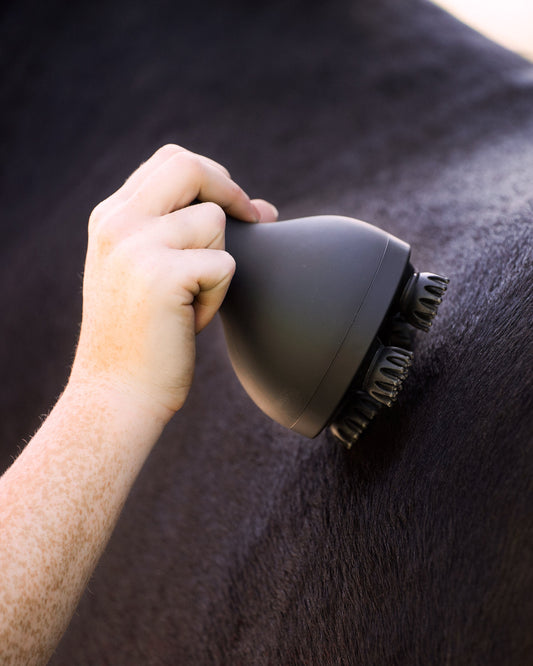 Volta Grooming & Relaxation Brush, batteridriven massageborste för häst