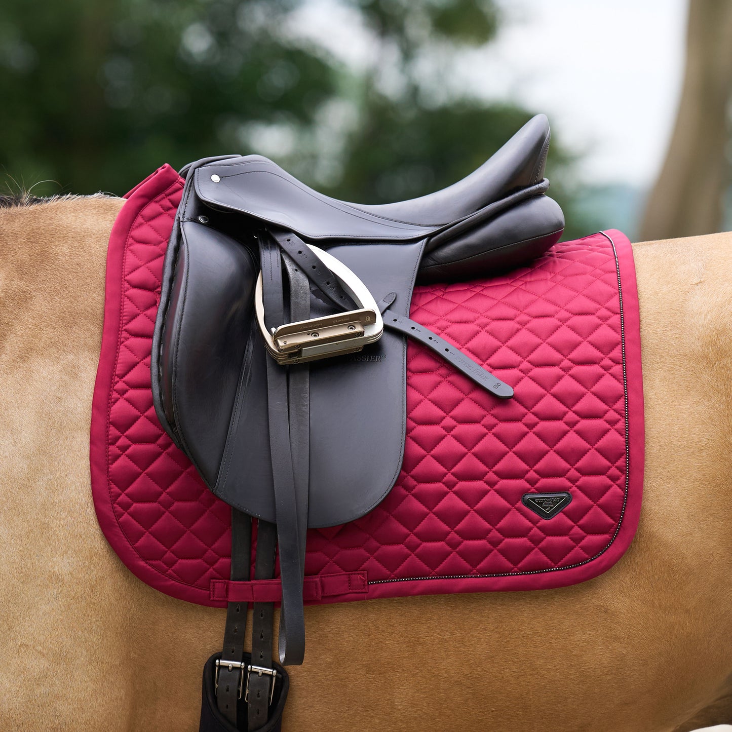Saddlepad Cato, dressyrschabrak, flera färger