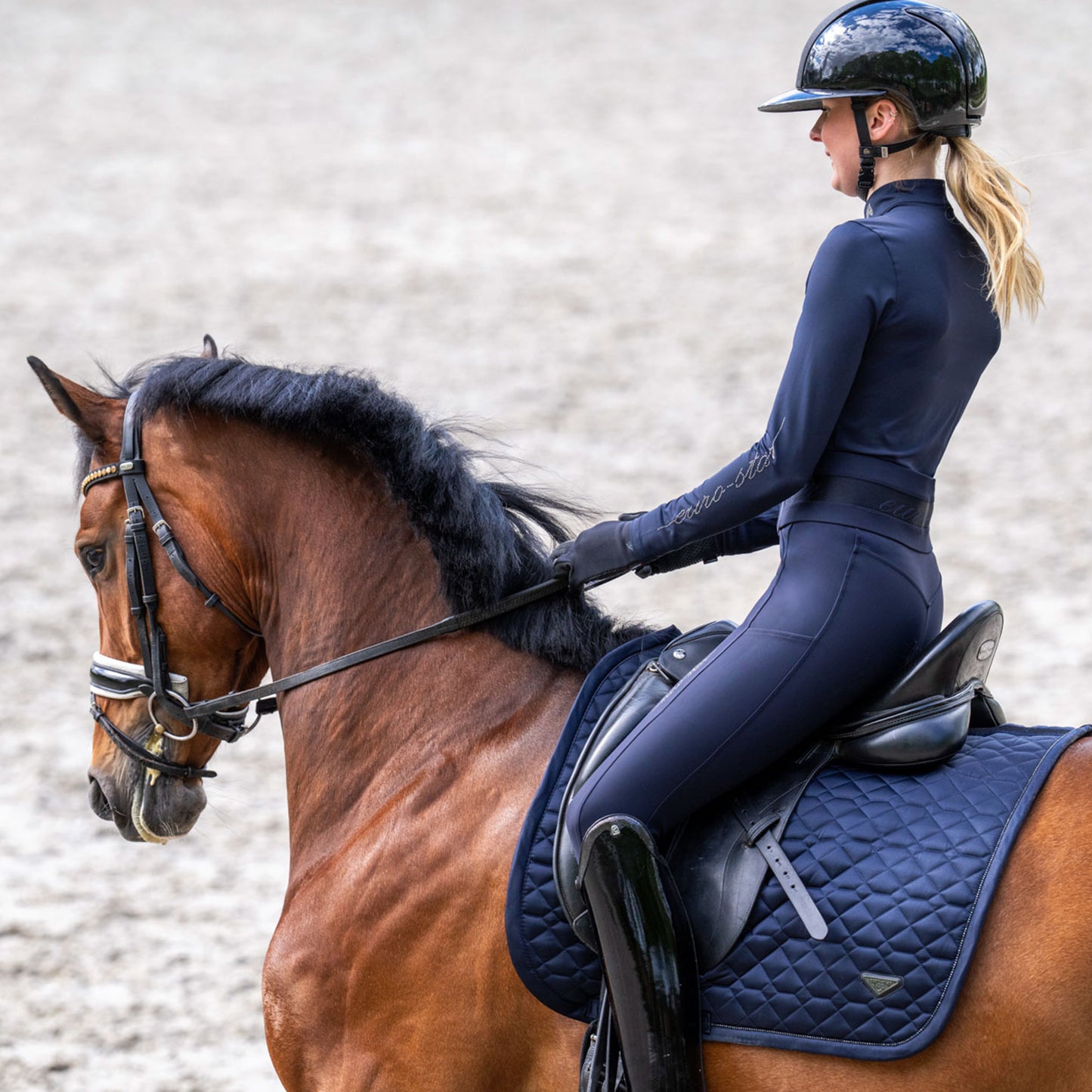 Saddlepad Cato, dressyrschabrak, flera färger