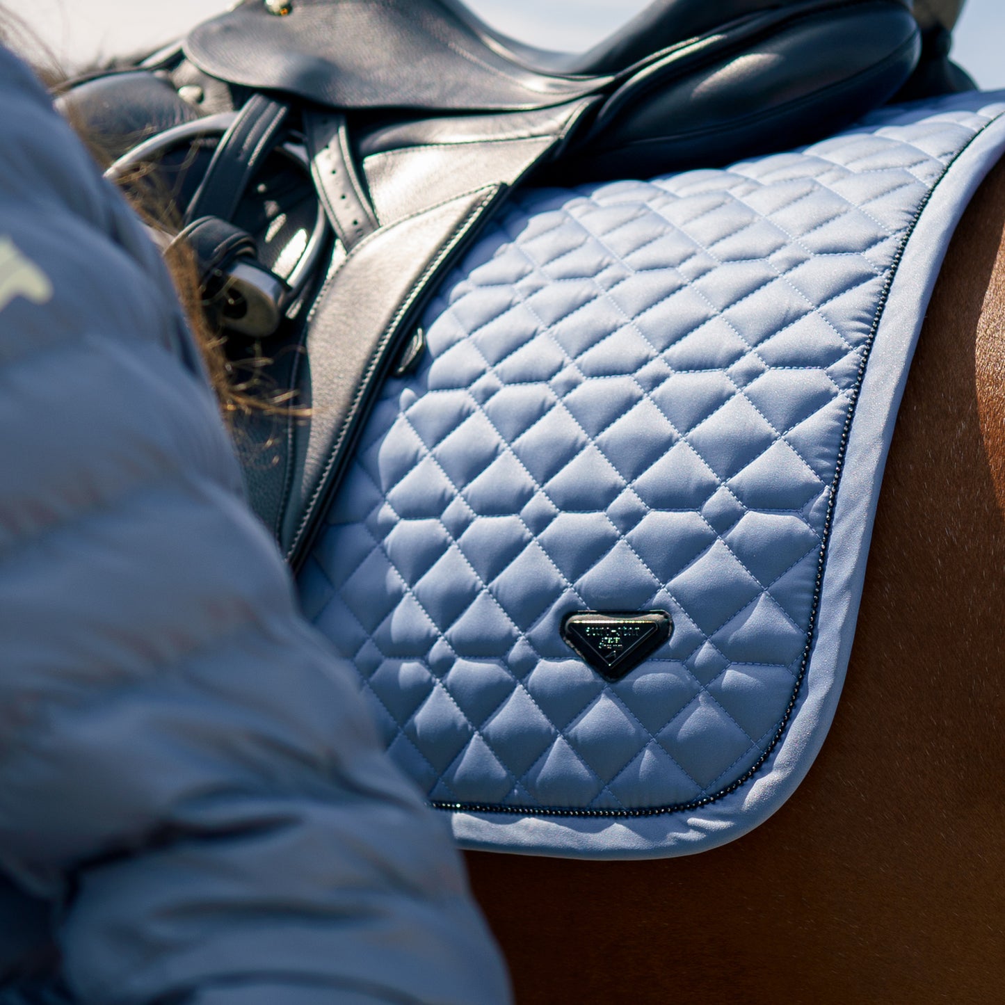 Saddlepad Cato, dressyrschabrak, flera färger