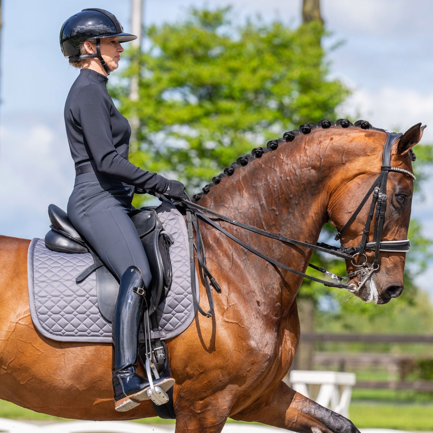 Saddlepad Cato, dressyrschabrak, flera färger