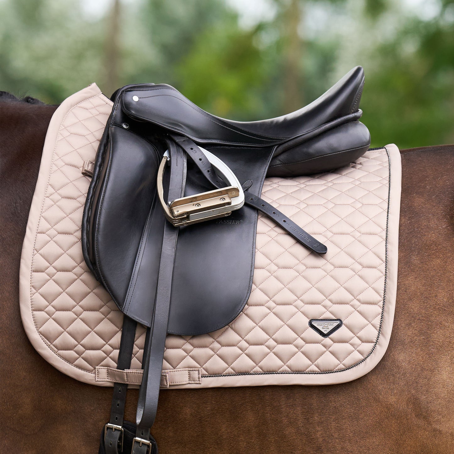 Saddlepad Cato, dressyrschabrak, flera färger