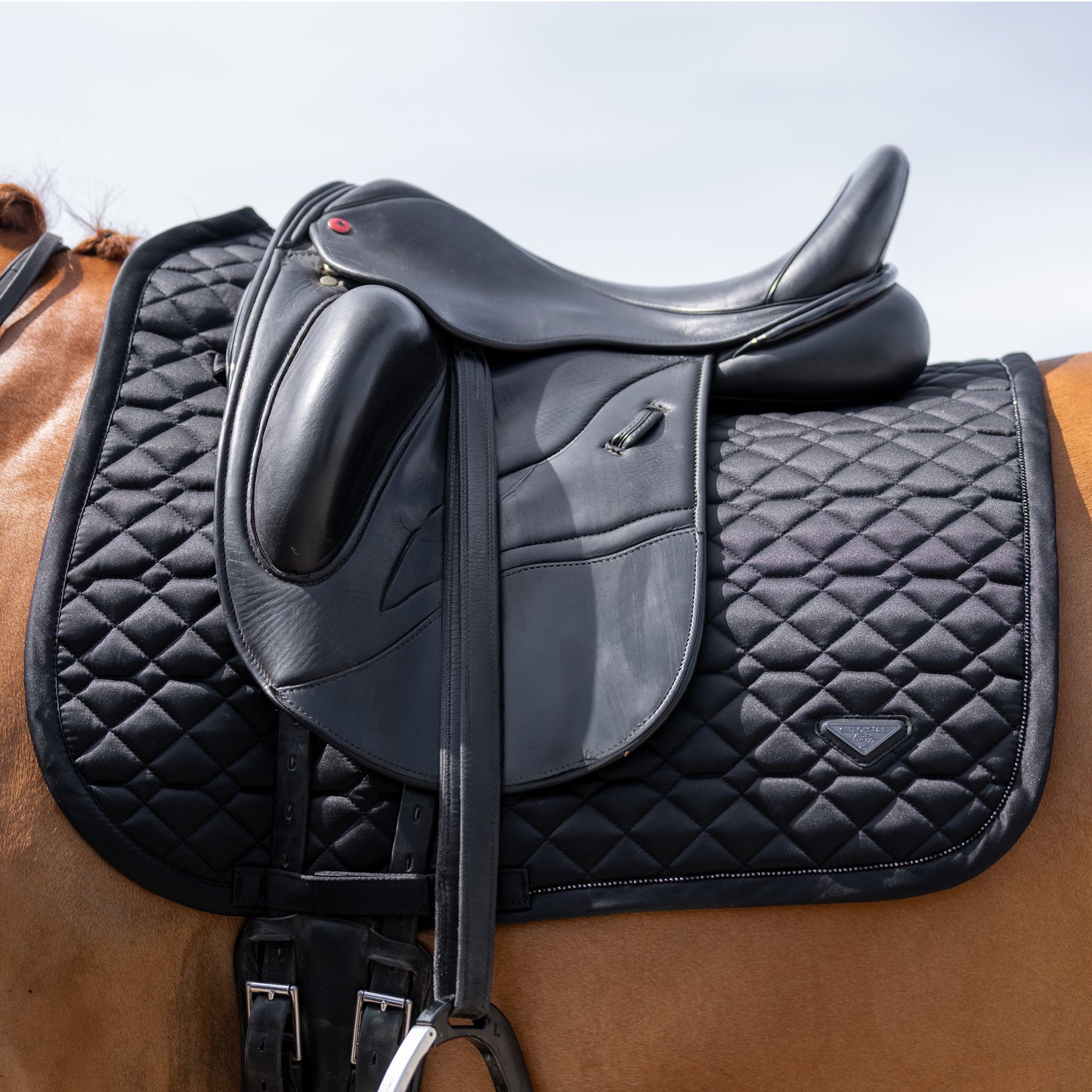 Saddlepad Cato, dressyrschabrak, flera färger