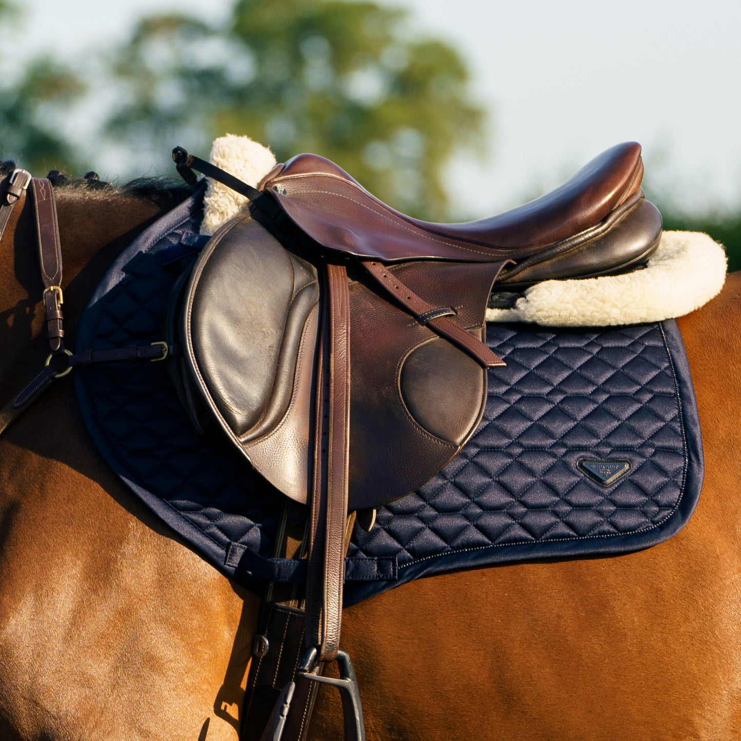 Euro-Star Saddlepad Cato GP, allround schabrak med mesh ventilation