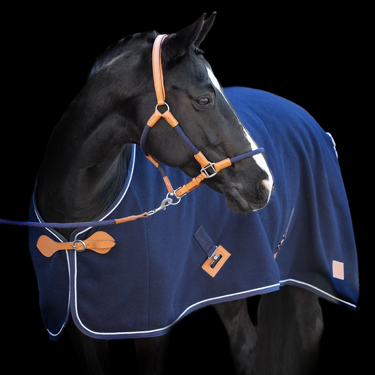 HV Polo Wool Blanket Scottie, elegant stalltäcke i ull