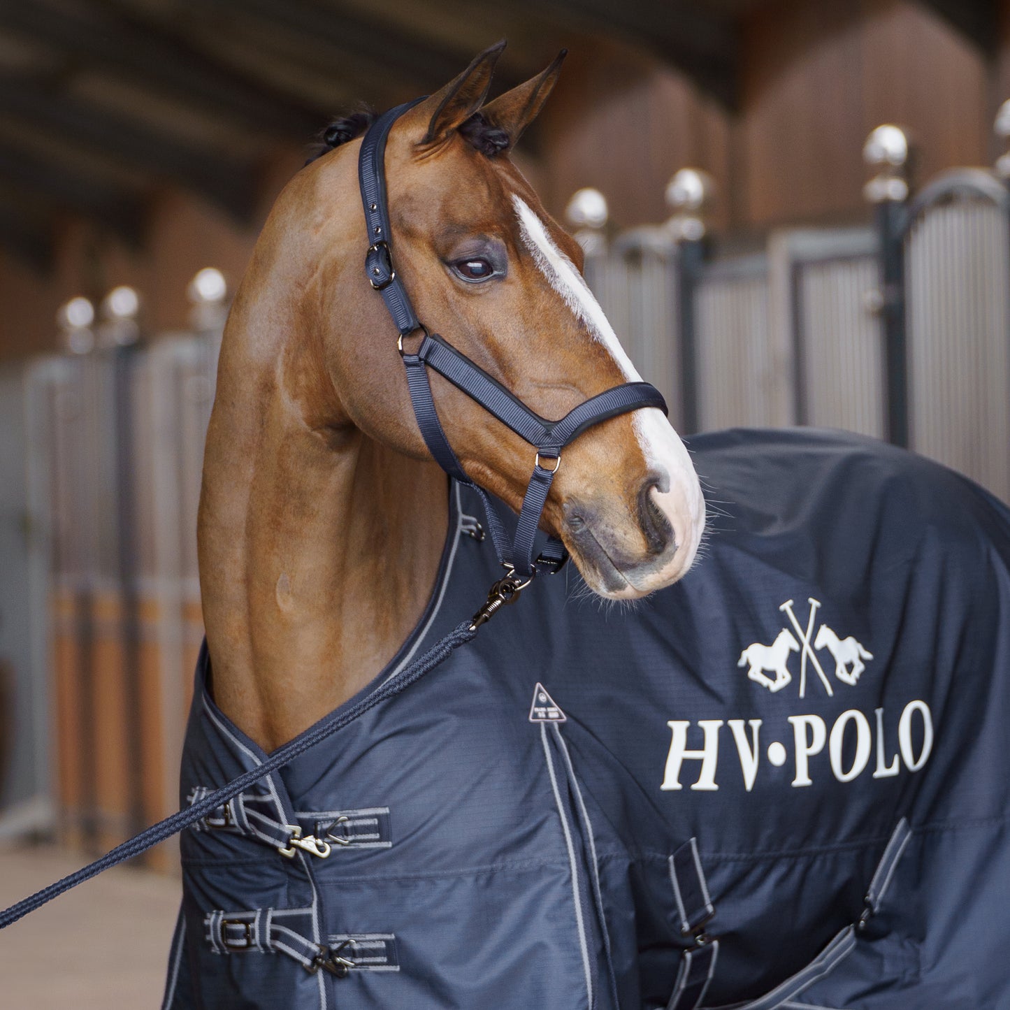 Outdoor blanket Essential, ofodrat regntäcke, flera färger