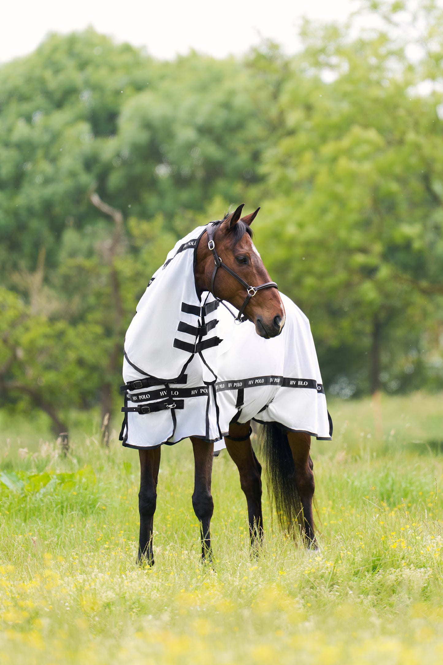 HV Polo Fly blanket Nena, flugtäcke i flera färger