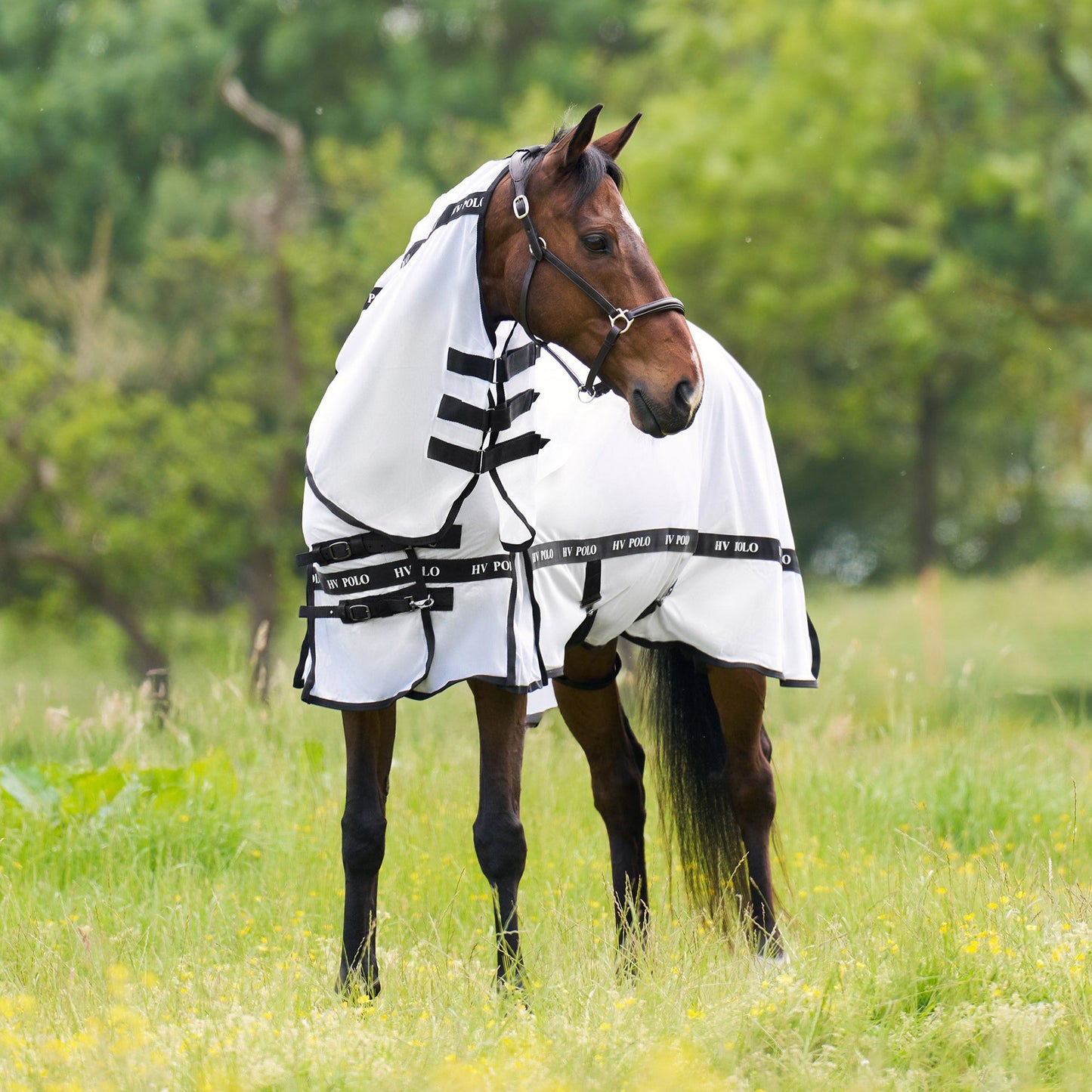 Fly blanket Nena, flugtäcke i flera färger