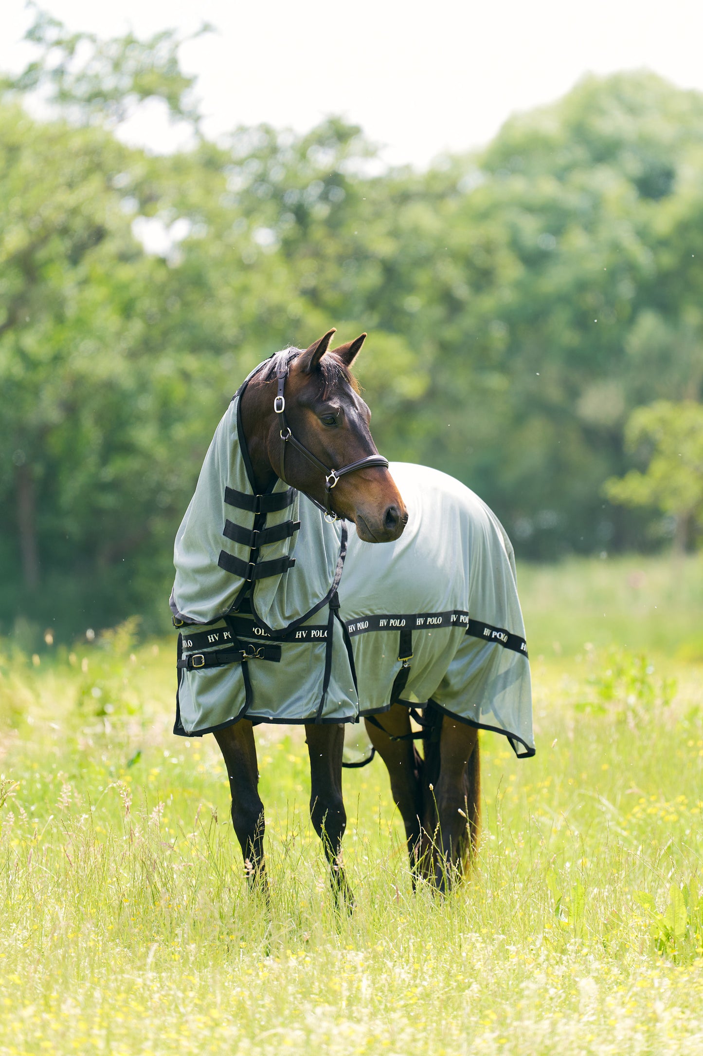 Fly blanket Nena, flugtäcke i flera färger