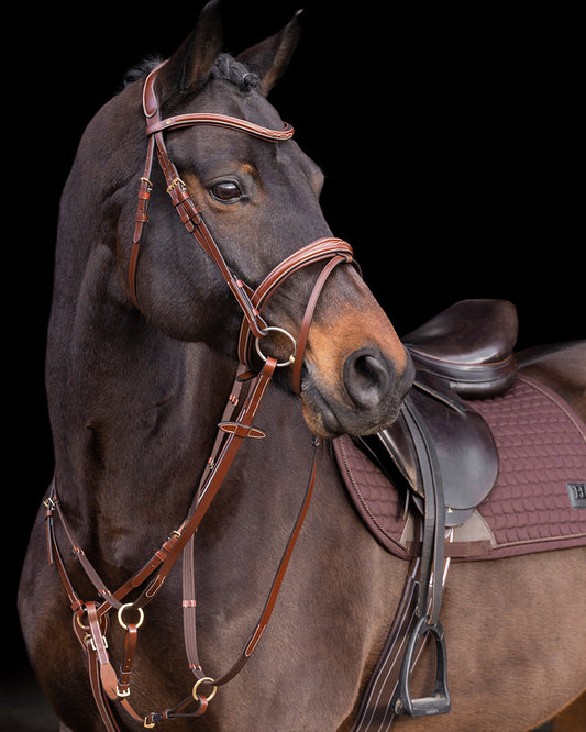 Martingale Legacy, martingale i läder