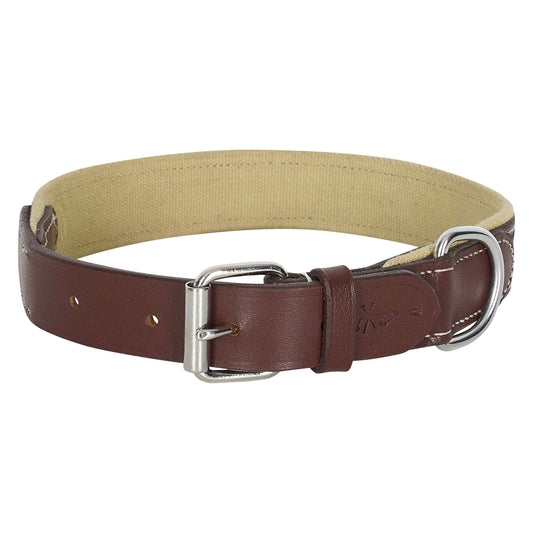 Dog Collar Iconic, hundhalsband i klassisk stil, flera färger