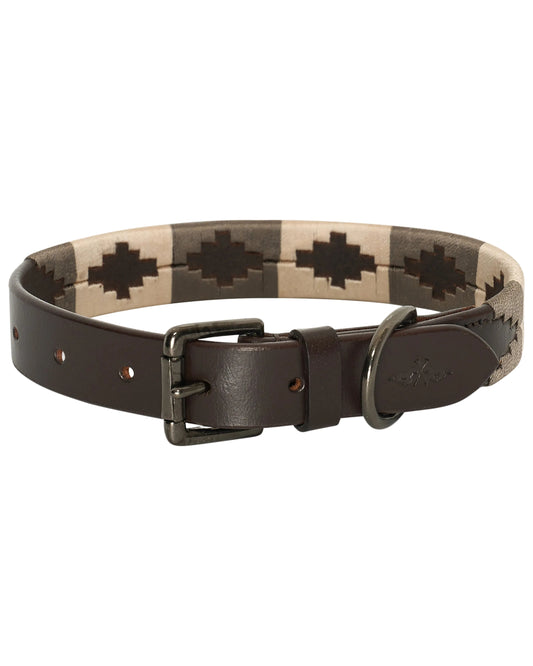 Dog Collar Chaya, gaucho hundhalsband