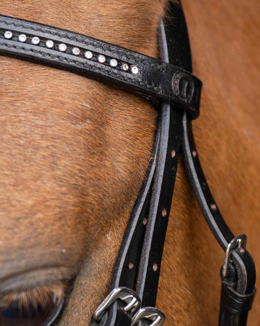 Shetty Bridle Stormy, träns minishettis/shettis