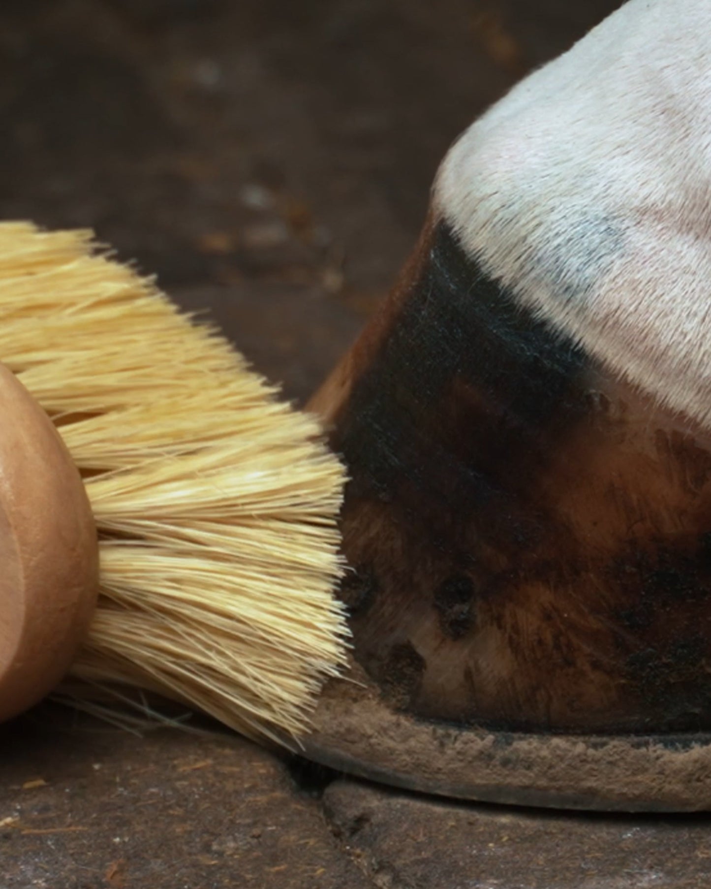 Hoof Brush Natural, miljövänlig hovborste utan syntetiska material