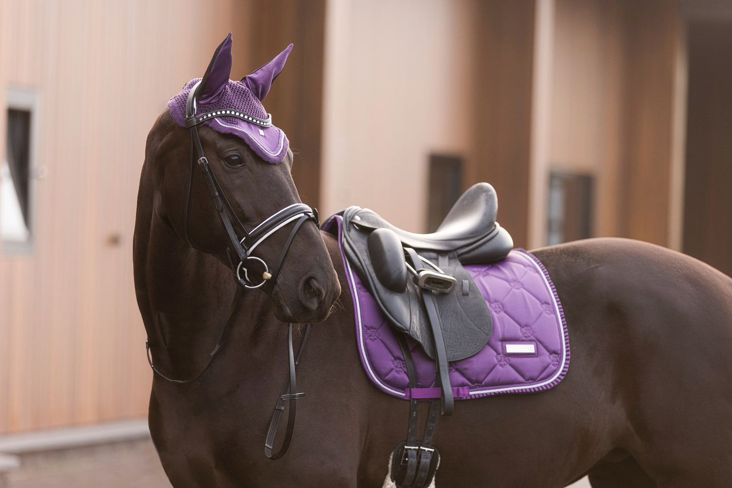 Saddlepad Lovely DR, dressyrschabrak med quiltat mönster, flera färger
