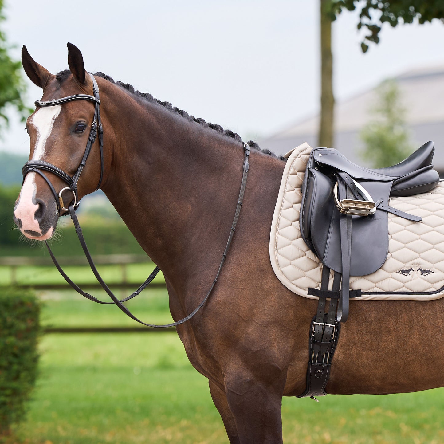 Saddlepad Joan DR, dressyrschabrak glitter
