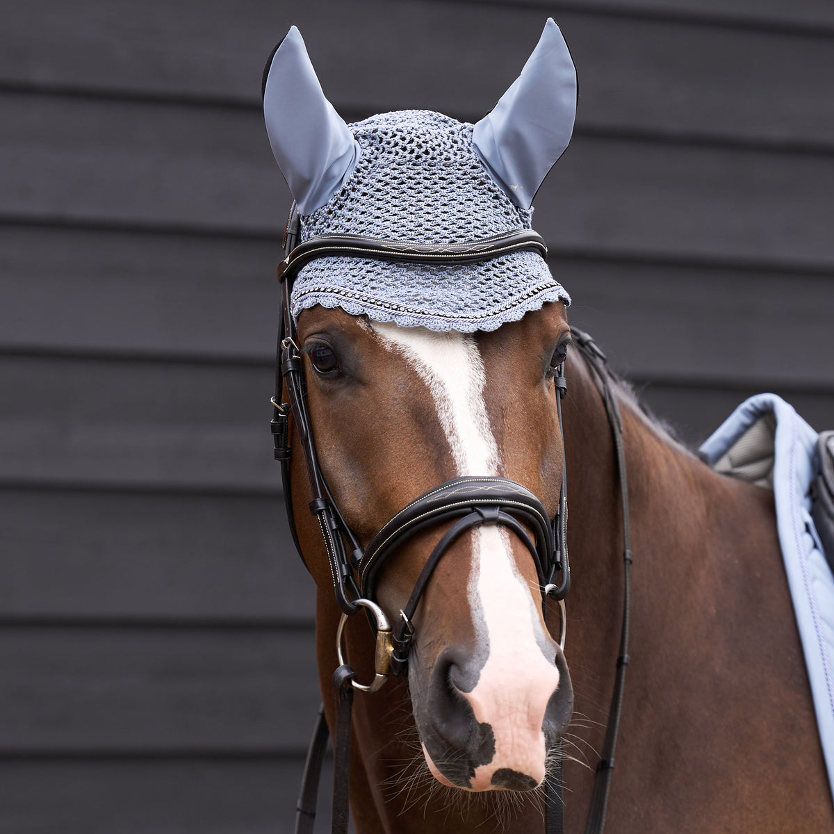 Flyveil Classic, huva med öron