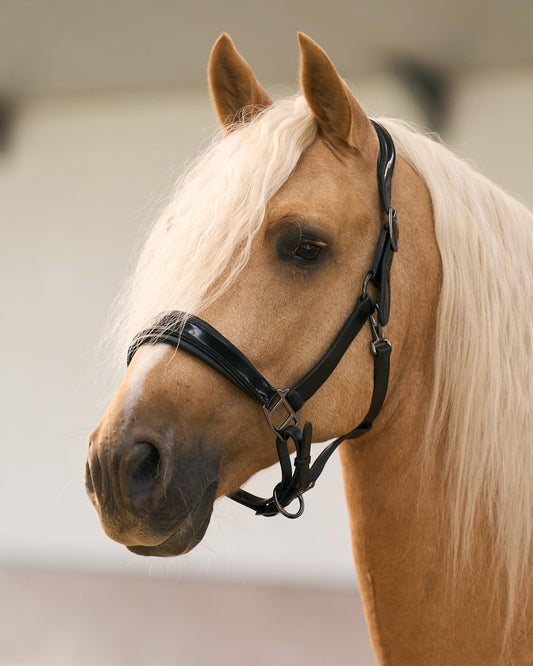 Headcollar Hera, lackad lädergrimma med vaddering