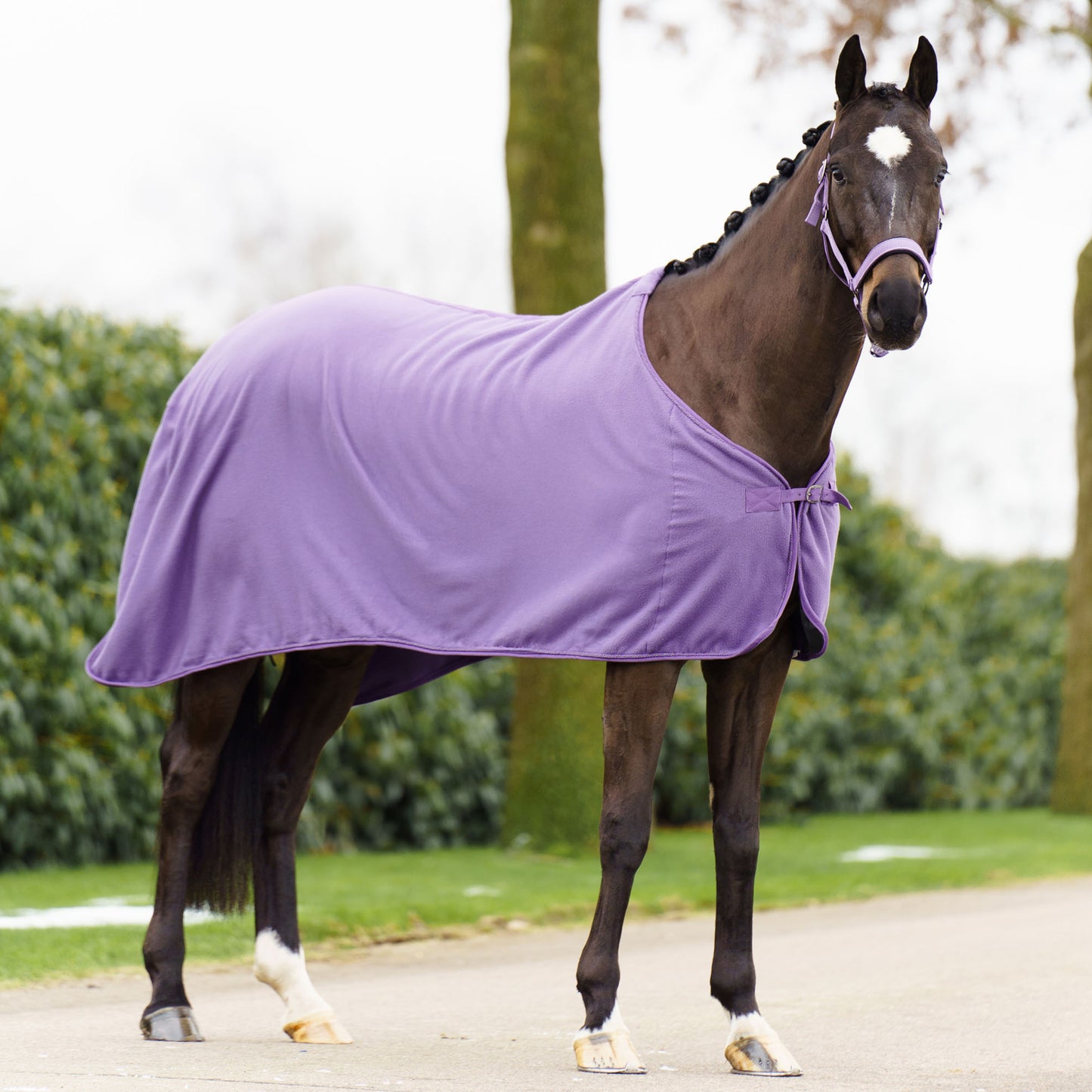 Fleece Blanket Classic, prisvärt hästtäcke i fleece, flera färger