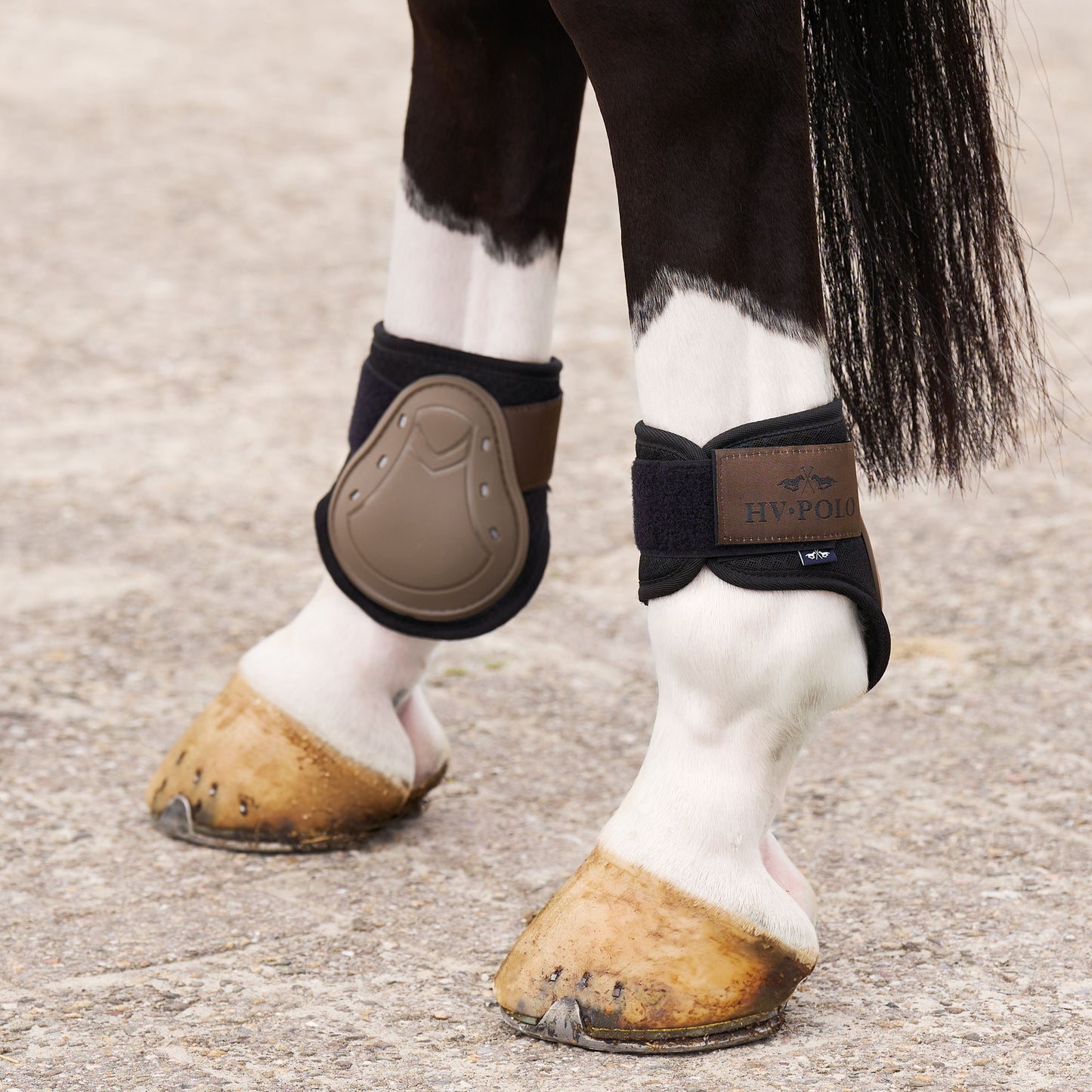 Tendon and Fetlock Bootset Classic, set med benskydd, flera färger