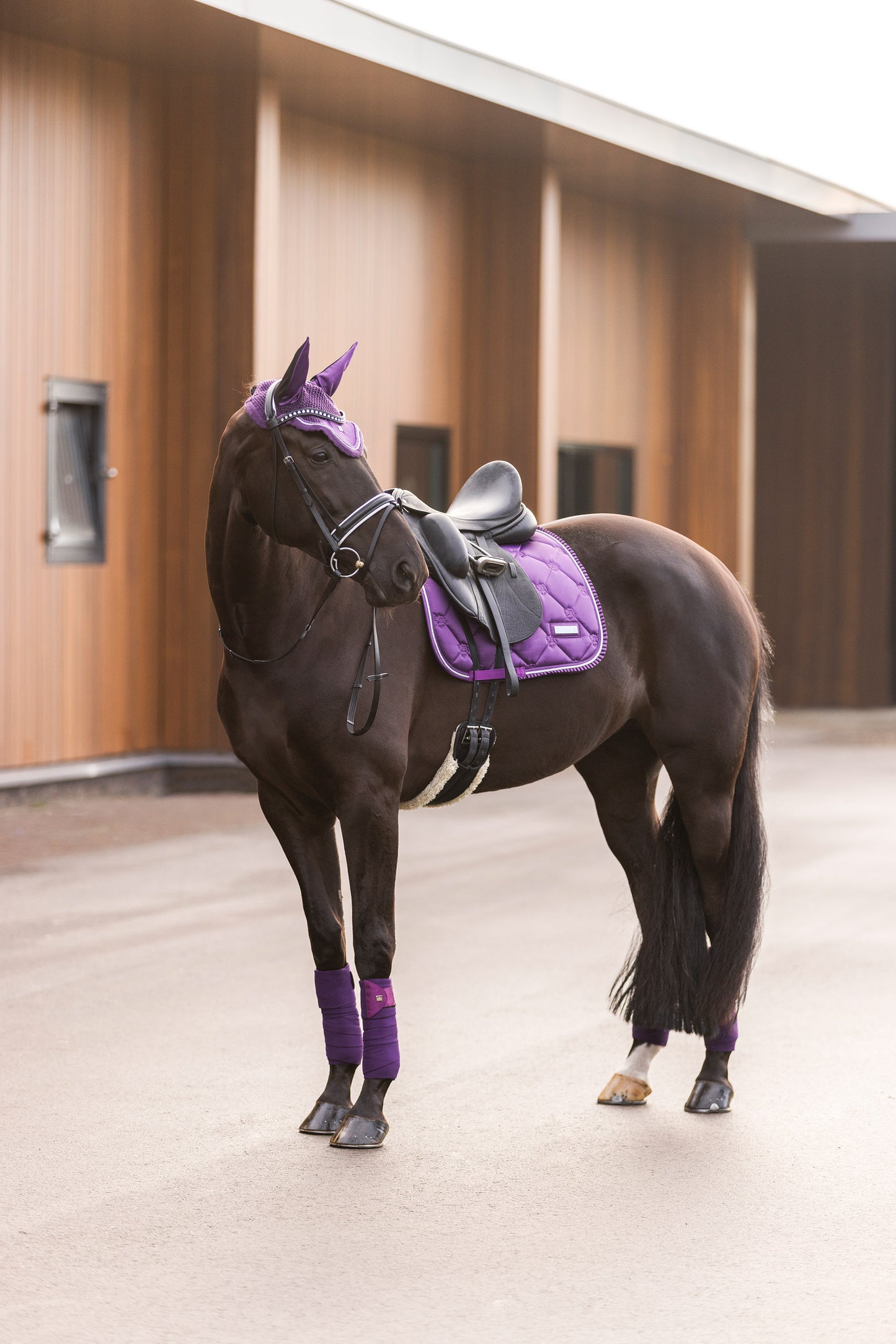 Saddlepad Lovely DR, dressyrschabrak med quiltat mönster, flera färger