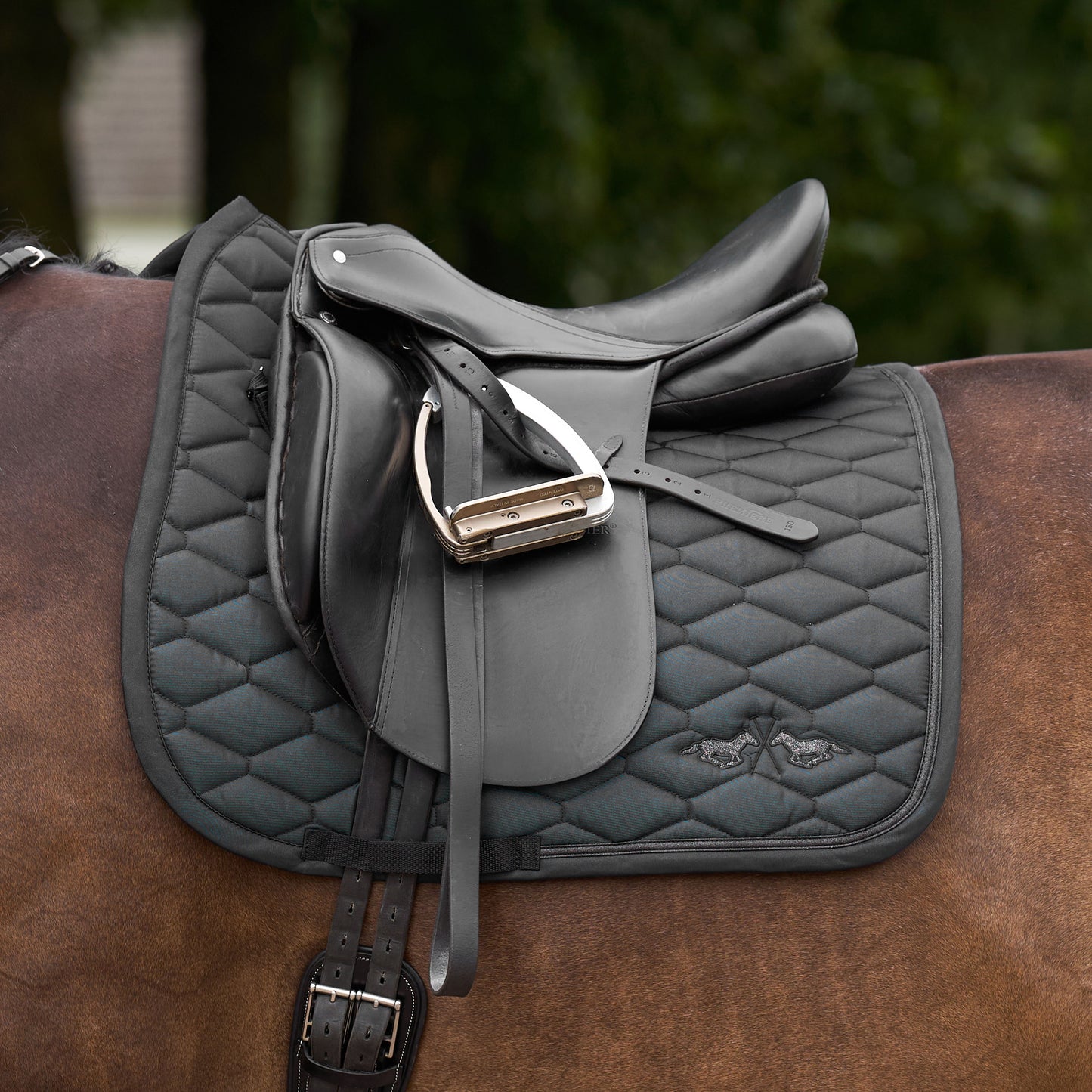 Saddlepad Joan, dressyrschabrak, flera färger