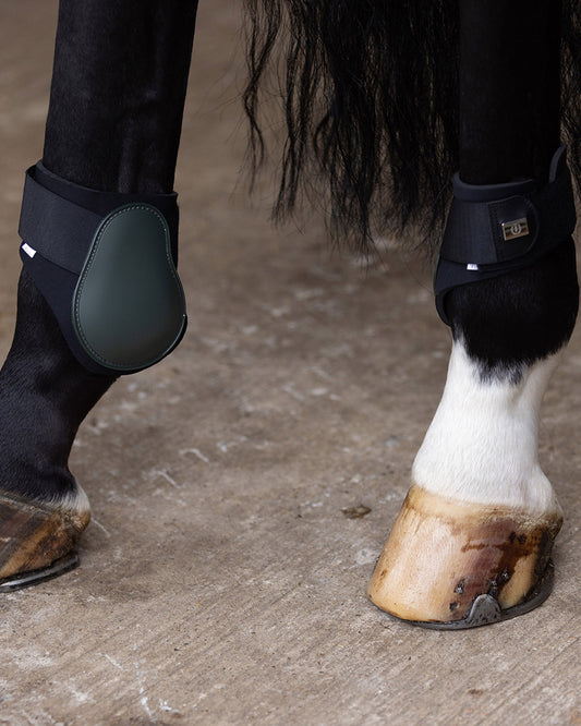 Fetlock Boots Lovely, bakbenskydd hård utsida