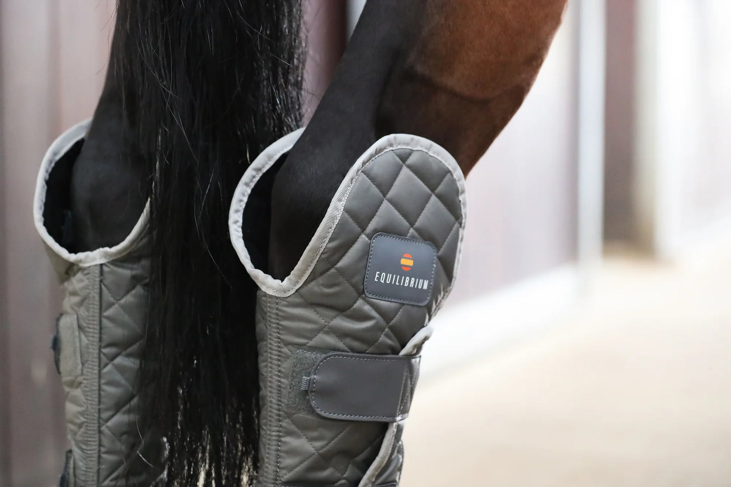 Hind & Hock Magnetic Chaps, stallchaps för magnetterapi bakben