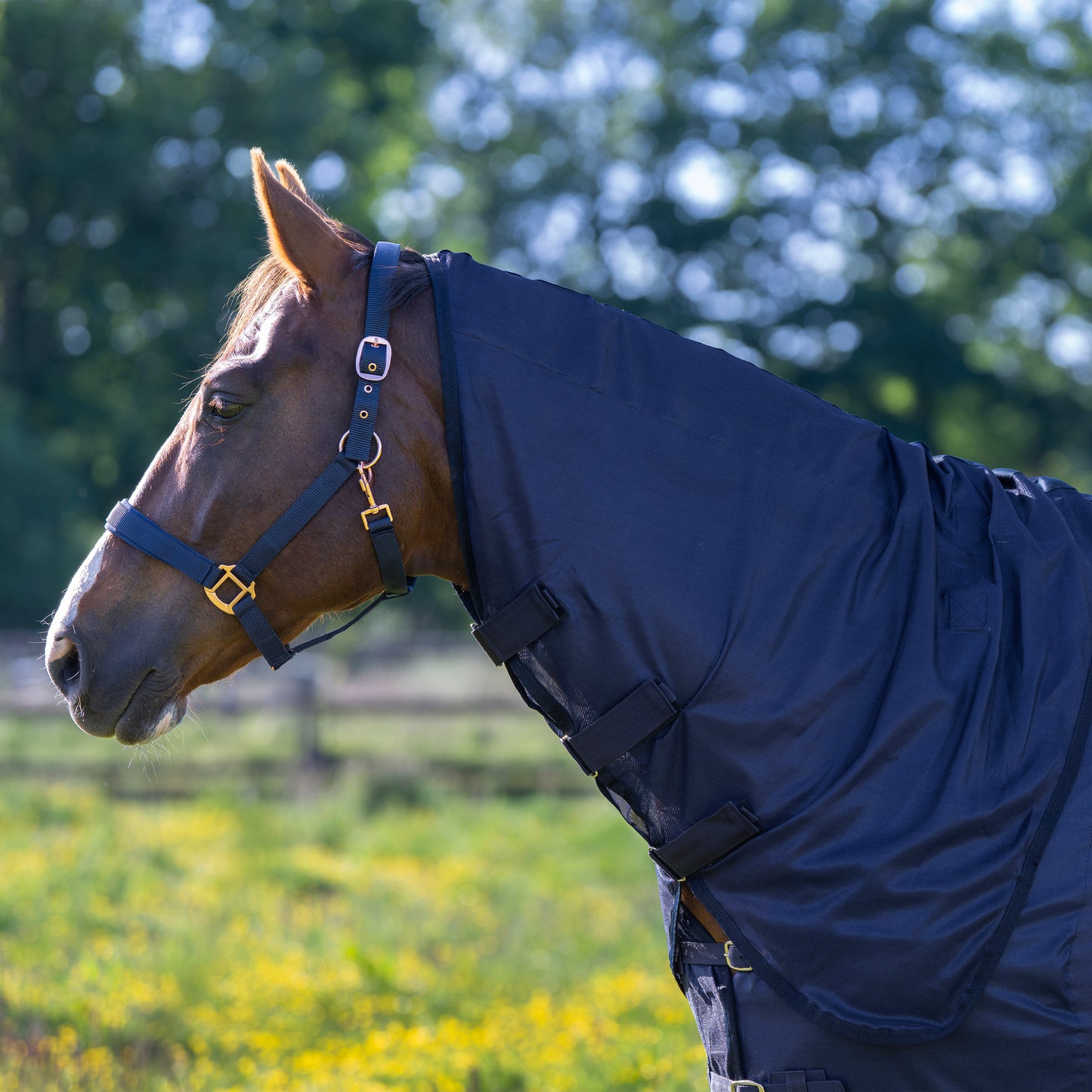 Fly Blanket Reese, flugtäcke avtagbar hals