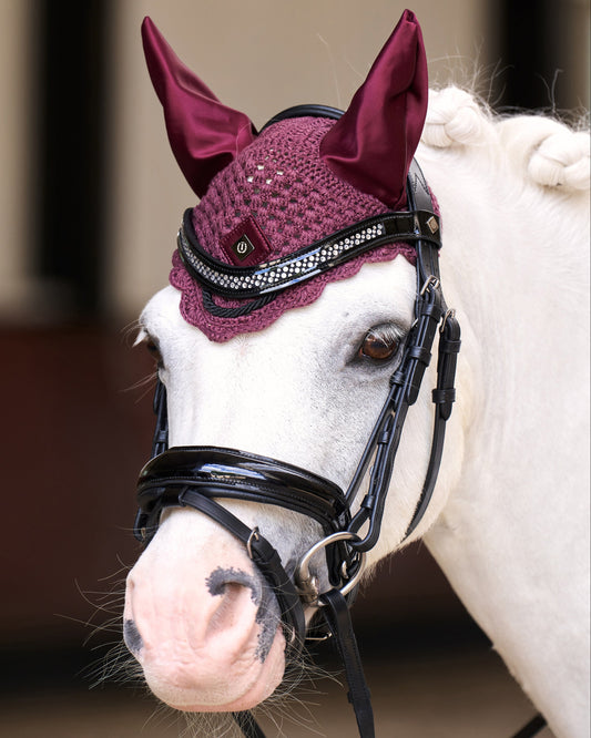 Flyveil Rebel, huva shettis och ponny