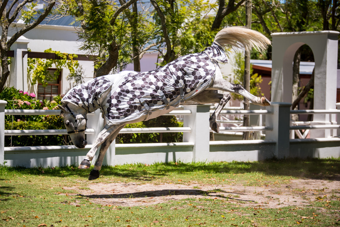 Equilibrium Field Relief Fly Rug, flugtäcke med mönster som repellerar insekter