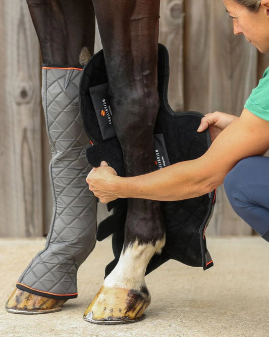 Therapy Fore&Knee Magnetic Chaps, stallchaps magnetterapi framben