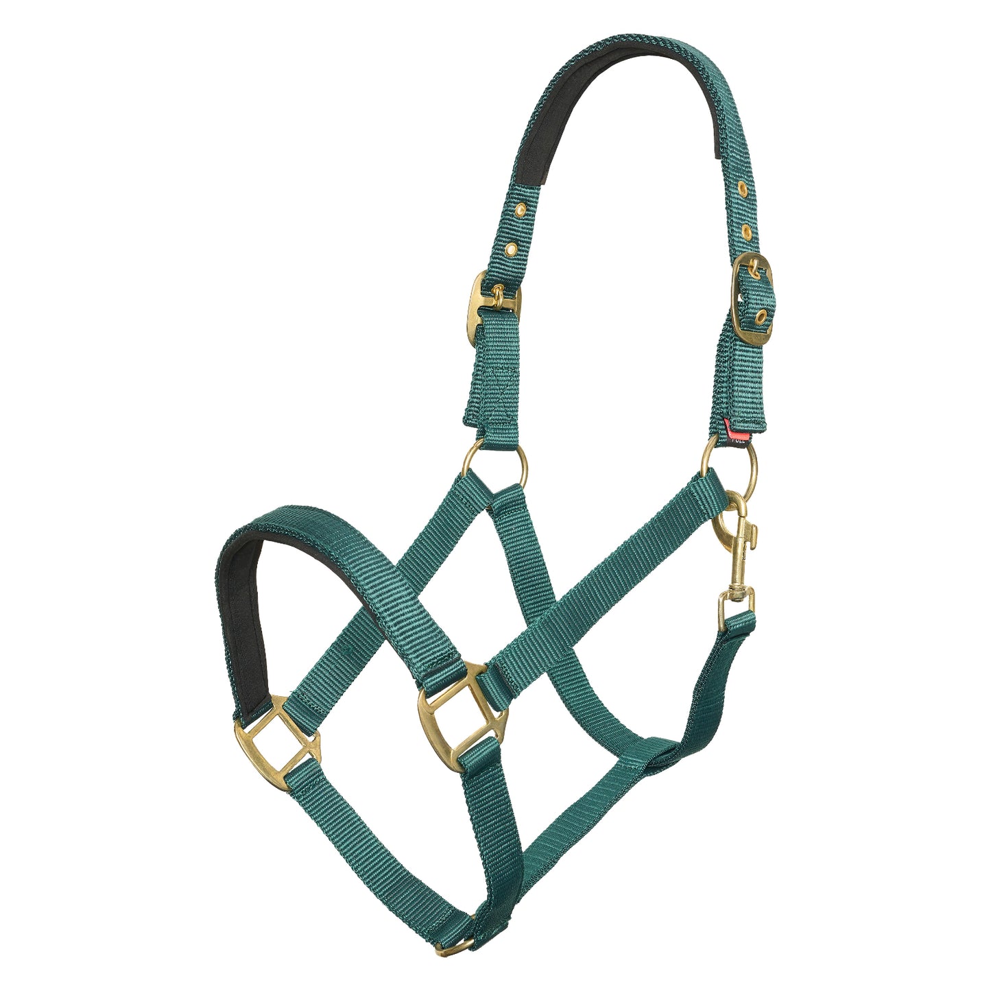 Headcollar Classic Sport, vadderad grimma i nylon, flera färger