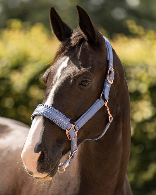 Headcollar Lovely, dekorerad grimma