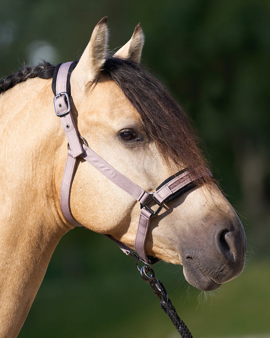 Headcollar Jewel Mesh, vadderad grimma