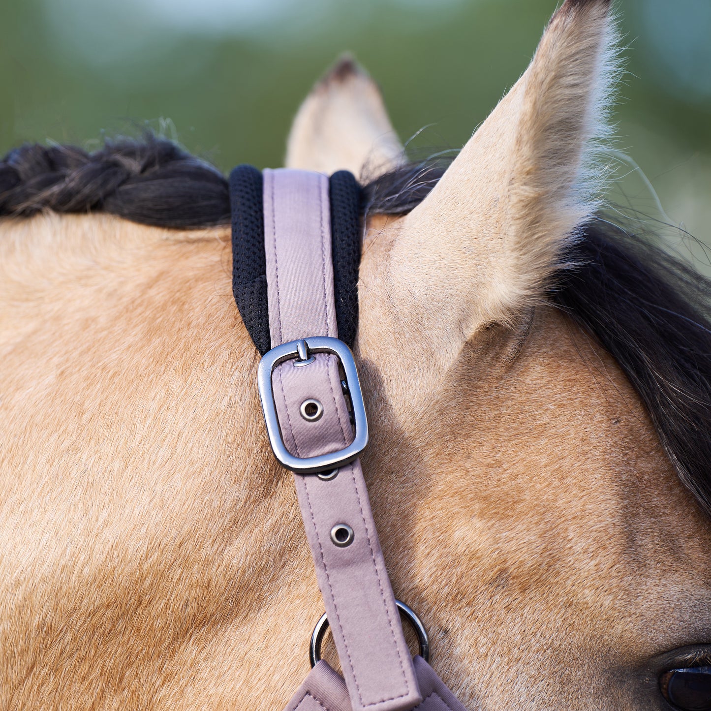 Headcollar Jewel Mesh, vadderad grimma