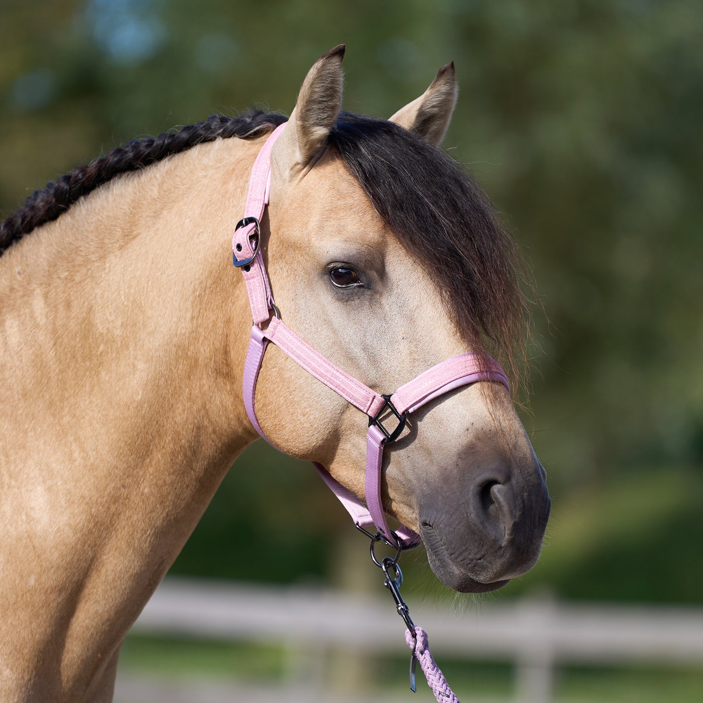 Imperial Riding Headcollar Sparkle, glittrande grimma i nylon